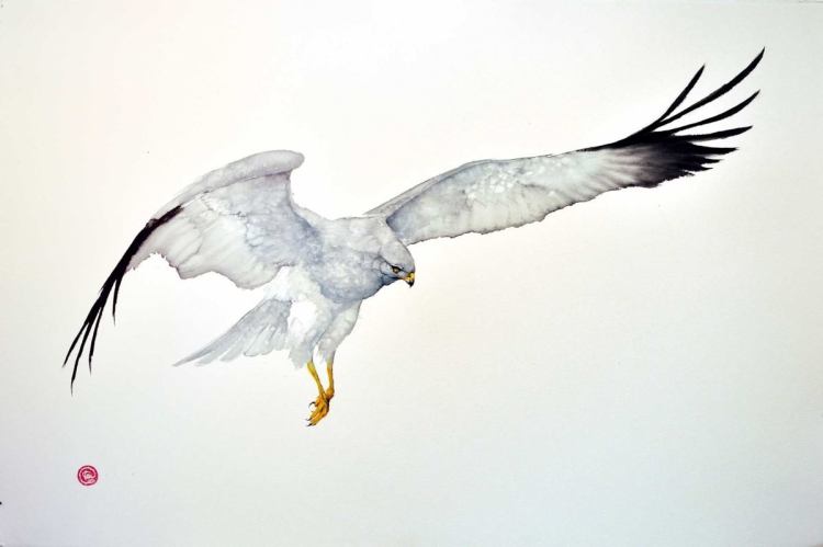 13580457_1701923433415546_7605210322805696025_o