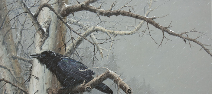 13406850_1691027674505122_4178226672609592742_n