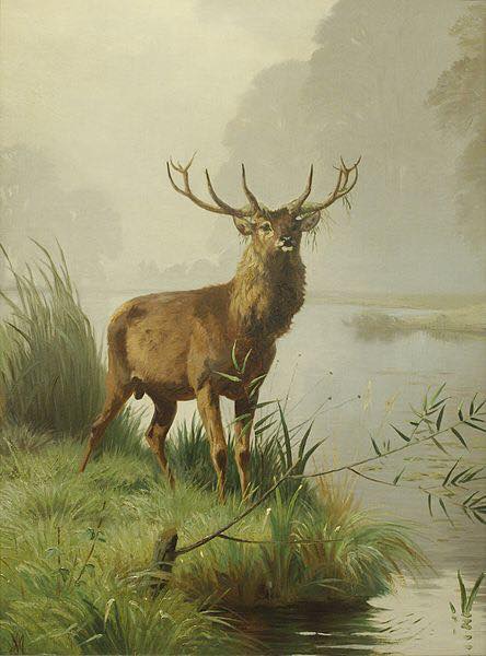 13133110_1678756582398898_8416896519781900479_n